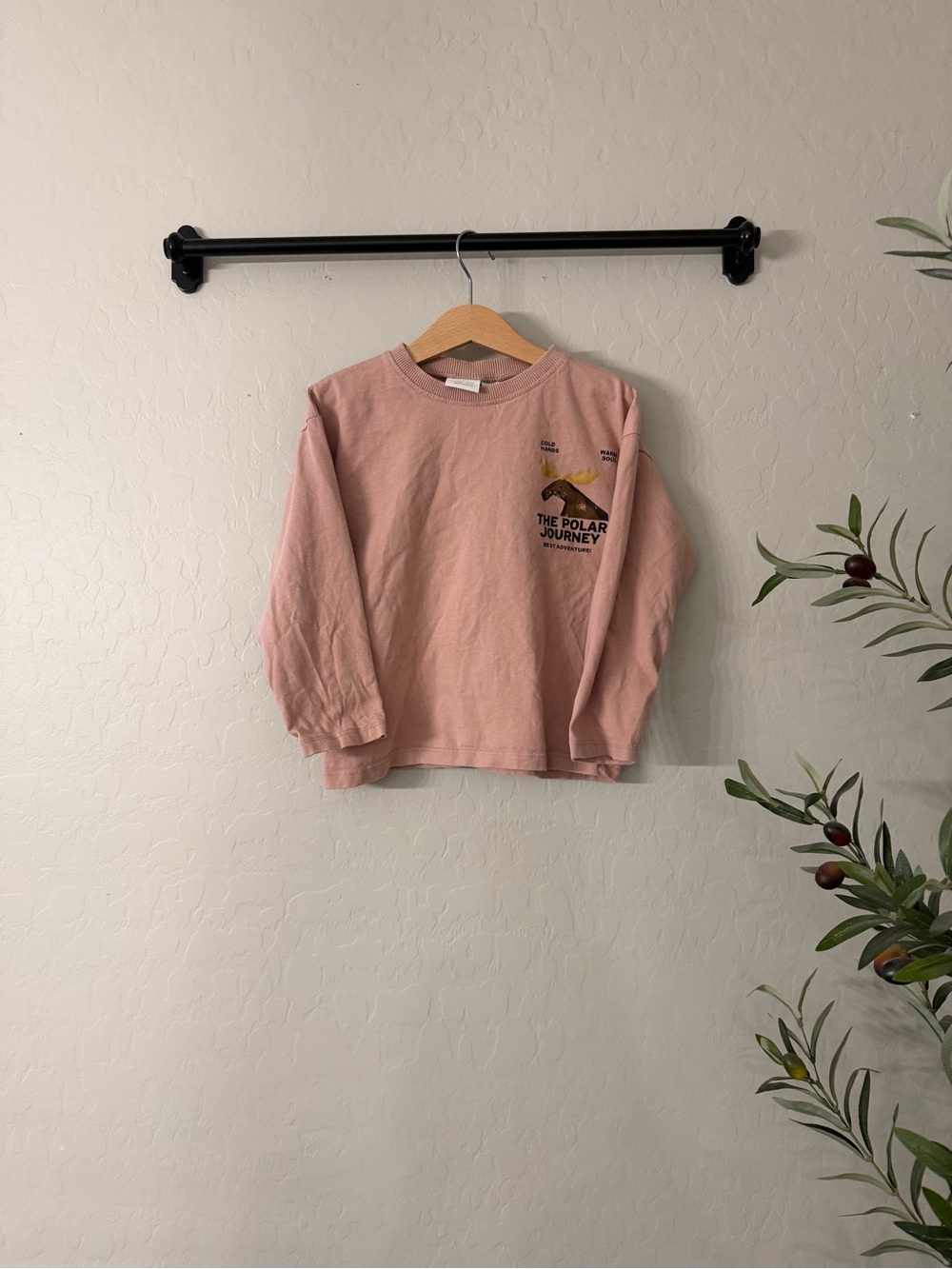 Zara Pink 'The Polar Journey' Polar Express Graphic Long Sleeve Shirt